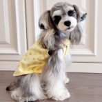 LV Chaleco - Imagen 5