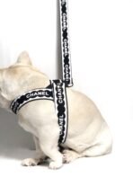 CH Harness - Imagen 7