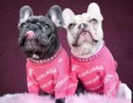 Sweater Balenciaga luxury rosa