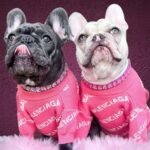 Sweater Balenciaga luxury rosa