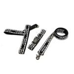 CH Harness