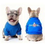CH Sudadera - Rojo - Imagen 2