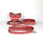 Kit Arnés collar y correa LV rojo
